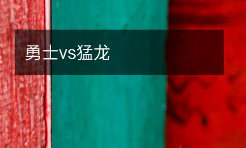 勇士vs猛龙